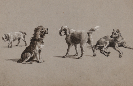 Studies of dogs (pen, brush, ink & gouache on paper)