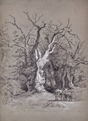 Landscape with tree, 1810-65 (Pencil)