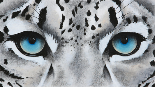 small snow leopard eyes, 2018 pastel and charcoal on paper