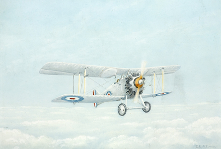 Gloster Aircraft, Grebe, 1924-62 (oil on board)