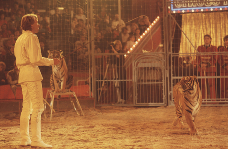Roland Kaiser in Stars in der Manege in Munich, 1984 (photo)