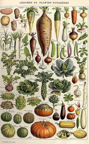 Vegetables Magazine Plate, France, 1900s