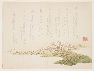 Violets, c.1848-53 (colour woodblock print)