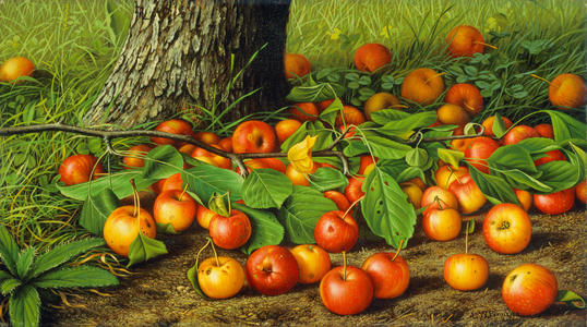 Still Life with Apples by a Tree (oil on canvas)
