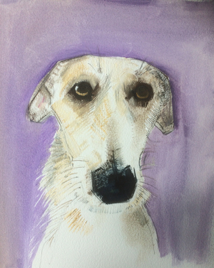 Lurcher, 2017 (oil on paper)