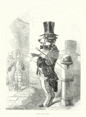 Funny Dogs: The Fast Dog (engraving)