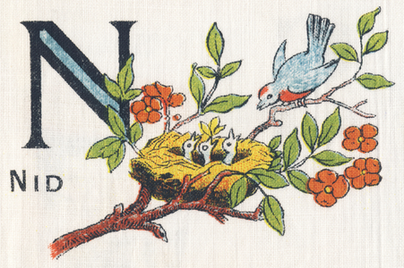 N as Nest