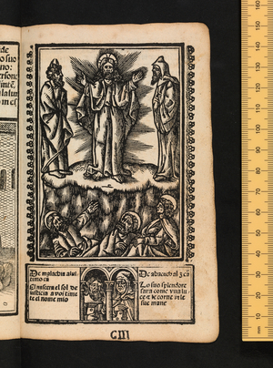 Figures of the Old Testament, c1525-1531 (woodcut)