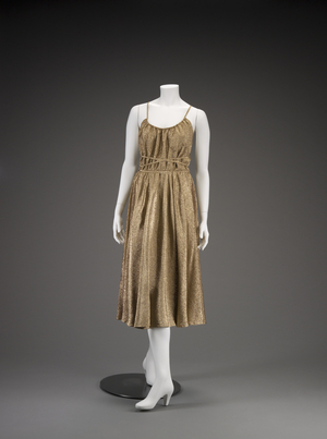 Evening Dress (photo)