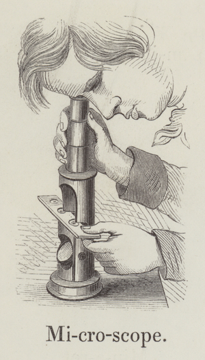 Microscope (engraving)