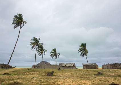 Benin, Ouidah, ouidah cotonou road on the slave coast, 2015 (photo)