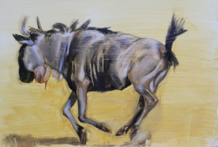 Wildebeest sketch, 2012 (oil on paper)