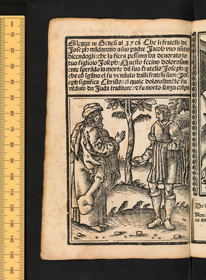 Figures of the Old Testament, c1525-1531 (woodcut)
