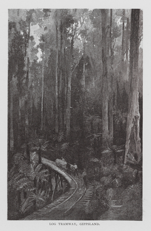 Log Tramway, Gippsland (engraving)