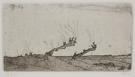 Landschaften, or Landscapes, 1970 (etching)