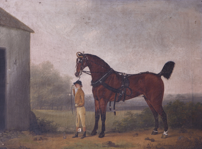 Boy leading a Horse