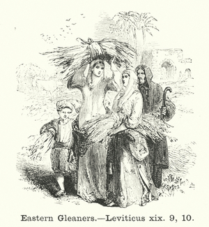 Eastern Gleaners, Leviticus xix, 9, 10 (engraving)