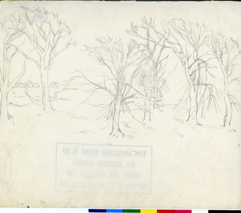 Winter Trees - Sketch