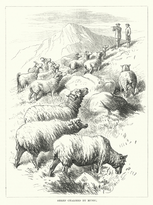 Sheep charmed by music (engraving)