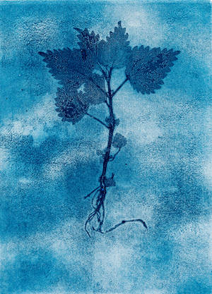 Nettle 4 Ghost, 2019 (mono-print paper)
