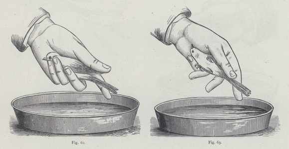 Washing Canaries (colour litho)