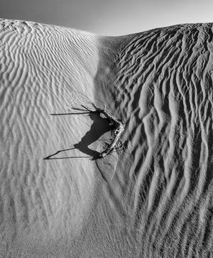 Desert Hymns I, 2020 (photo)