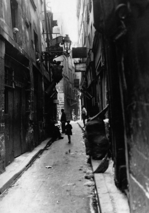 Alley in Paris, 1929 (b/w photo)
