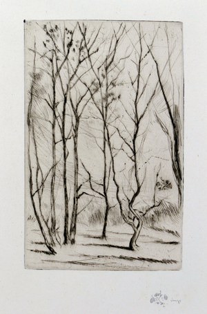 The Dam Wood, 1875 (drypoint)