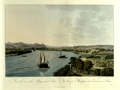 Vineyards by the Rhine in the foreground, with hills (Siebengebirge) in the background