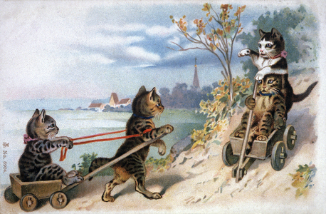 Kittens in sleds, early 20th century (postcard)