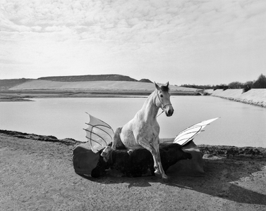 Pegasus 1, 2015 (b/w photo)