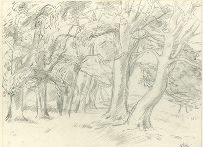 Study of Trees, Temple Village, c.1939-73 (pencil on paper)