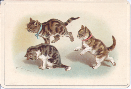 A Victorian card of kittens playing 'leap frog'; c.1880 (colour litho)