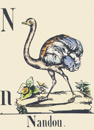 N: Nandou, c1880-1900 (illustration)
