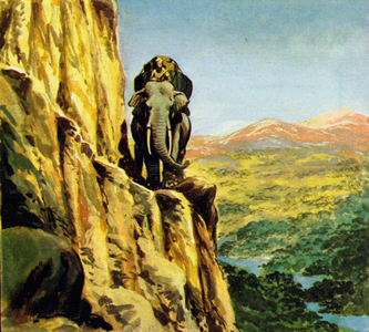 Bandoola led the other elephants along the narrow path, illustration from 'Elephant Bill' (colour litho)