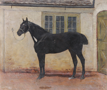 A Black Gelding in a Stableyard