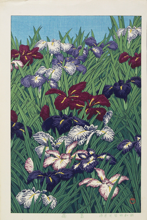 Irises, July 1929