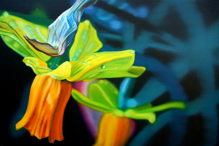 Daffodil, 2006 (oil on canvas)