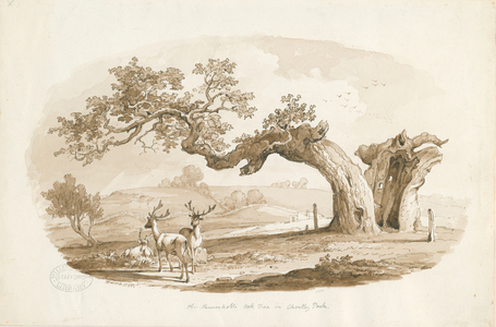 Chartley Hall - Park: sepia drawing (vignetted), 1838 (drawing)