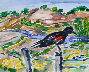 Perched, 2021 (w/c on paper)