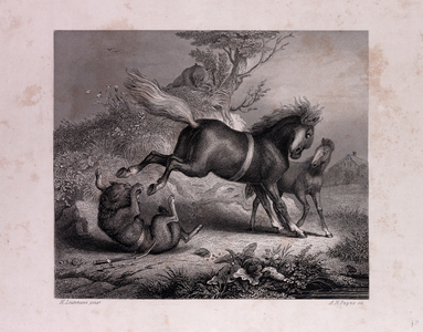 The Mare and the Wolf