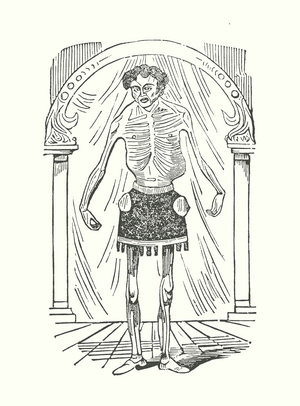 Portrait of The Living Skeleton (engraving)