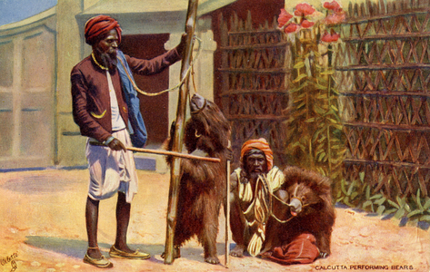 Performing bears in Kolkata; 20th century (postcard)