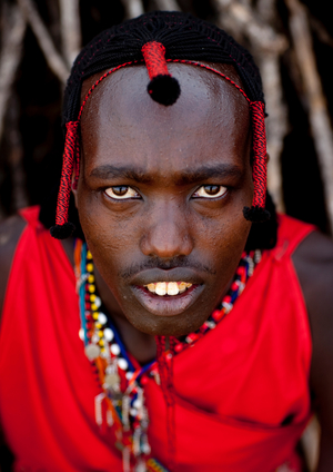 Maasai in Kenya, Africa (photo)