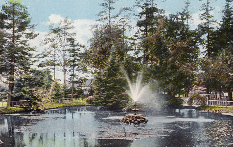 Victoria, British Columbia: Beacon Hill Park (colour photo)