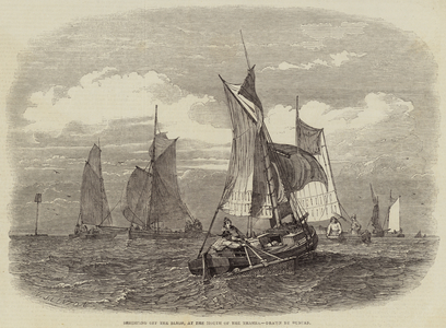 Shrimping off the Bligh, at the Mouth of the Thames (engraving)