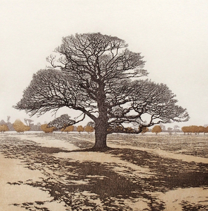 Dark Oak, 1981 (etching and aquatint)