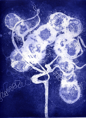 Brainscape 17, 2006 (etching and aquatint)