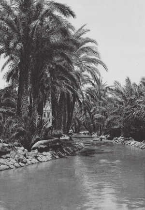Egypt: Fayum, Canal near Tersa (b/w photo)
