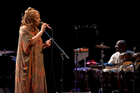 Cassandra Wilson in concert (photo)